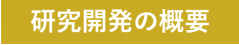 研究開発の概要